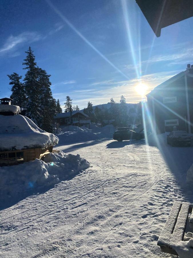 Joaengets Fjaellgard Villa Sälen Dış mekan fotoğraf