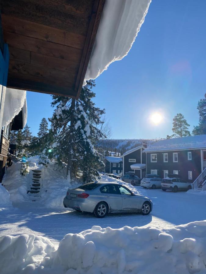 Joaengets Fjaellgard Villa Sälen Dış mekan fotoğraf