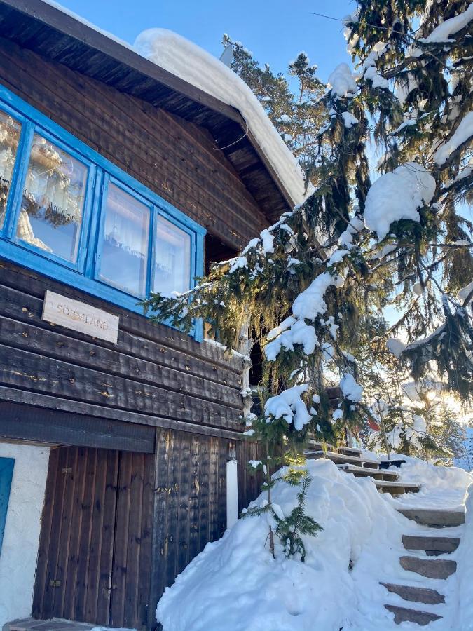 Joaengets Fjaellgard Villa Sälen Dış mekan fotoğraf
