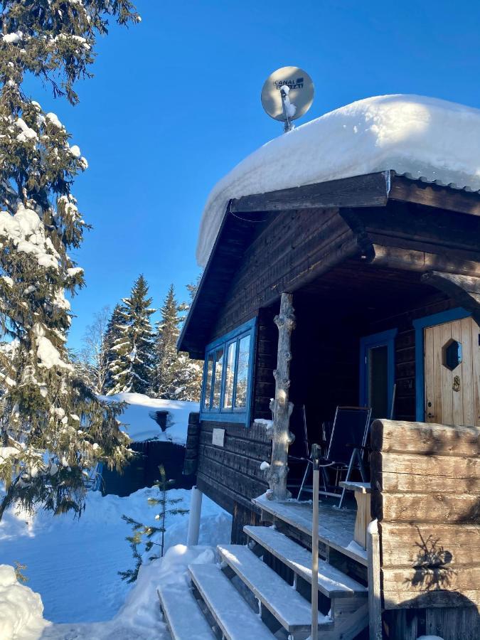 Joaengets Fjaellgard Villa Sälen Dış mekan fotoğraf