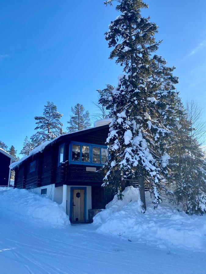 Joaengets Fjaellgard Villa Sälen Dış mekan fotoğraf